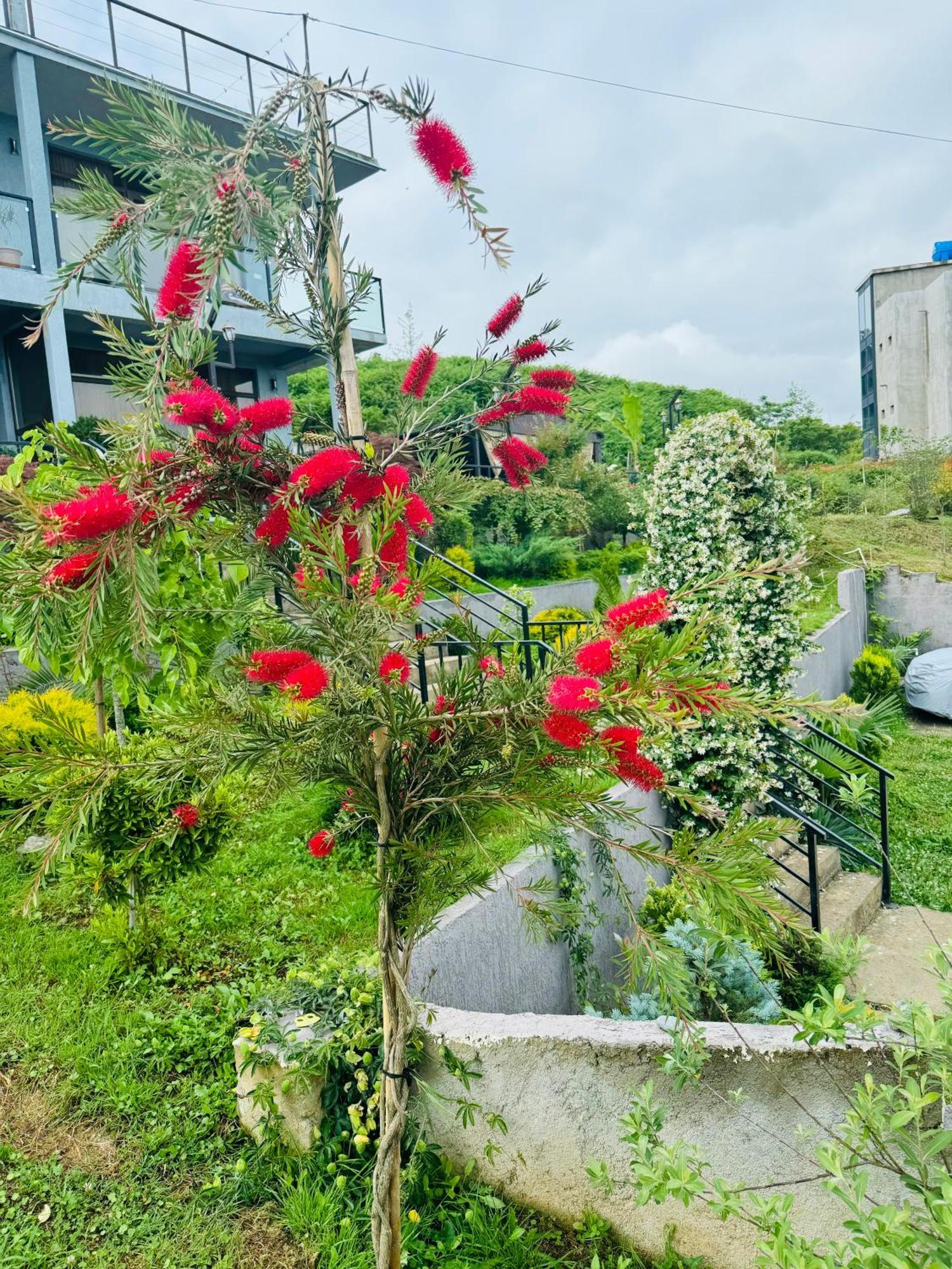 Family Hotel Sunset Chakvi Exterior photo