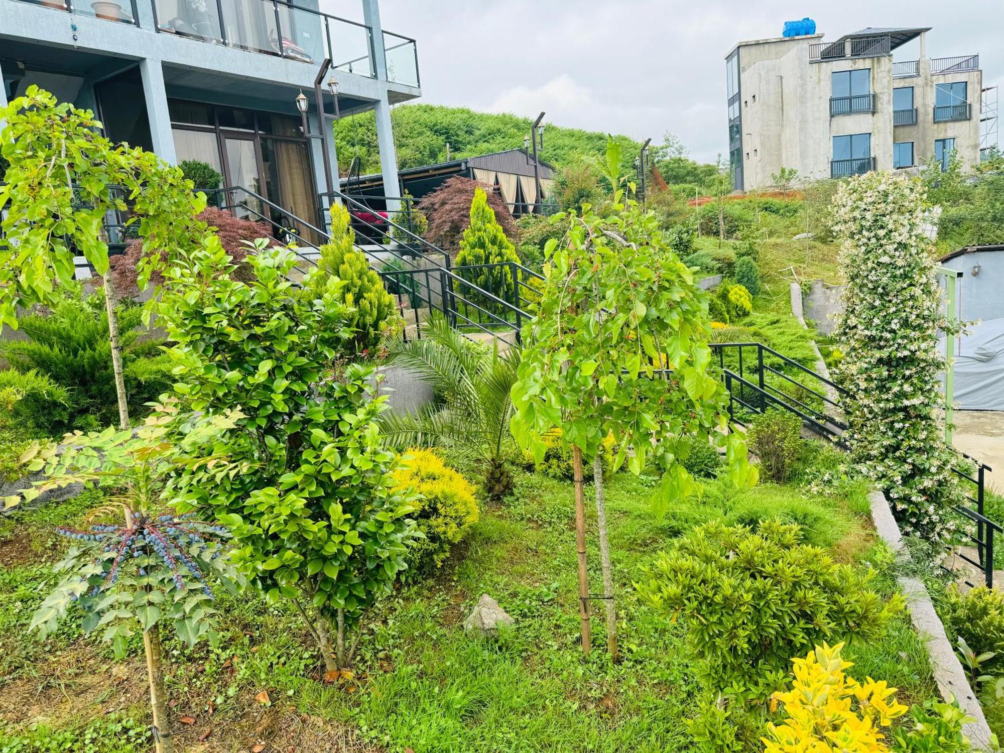 Family Hotel Sunset Chakvi Exterior photo